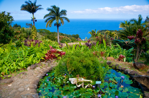 Explore Maui's Botanical Gardens