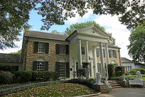 Tour the City of Memphis