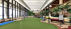 Palm Beach International Airport Car Rental